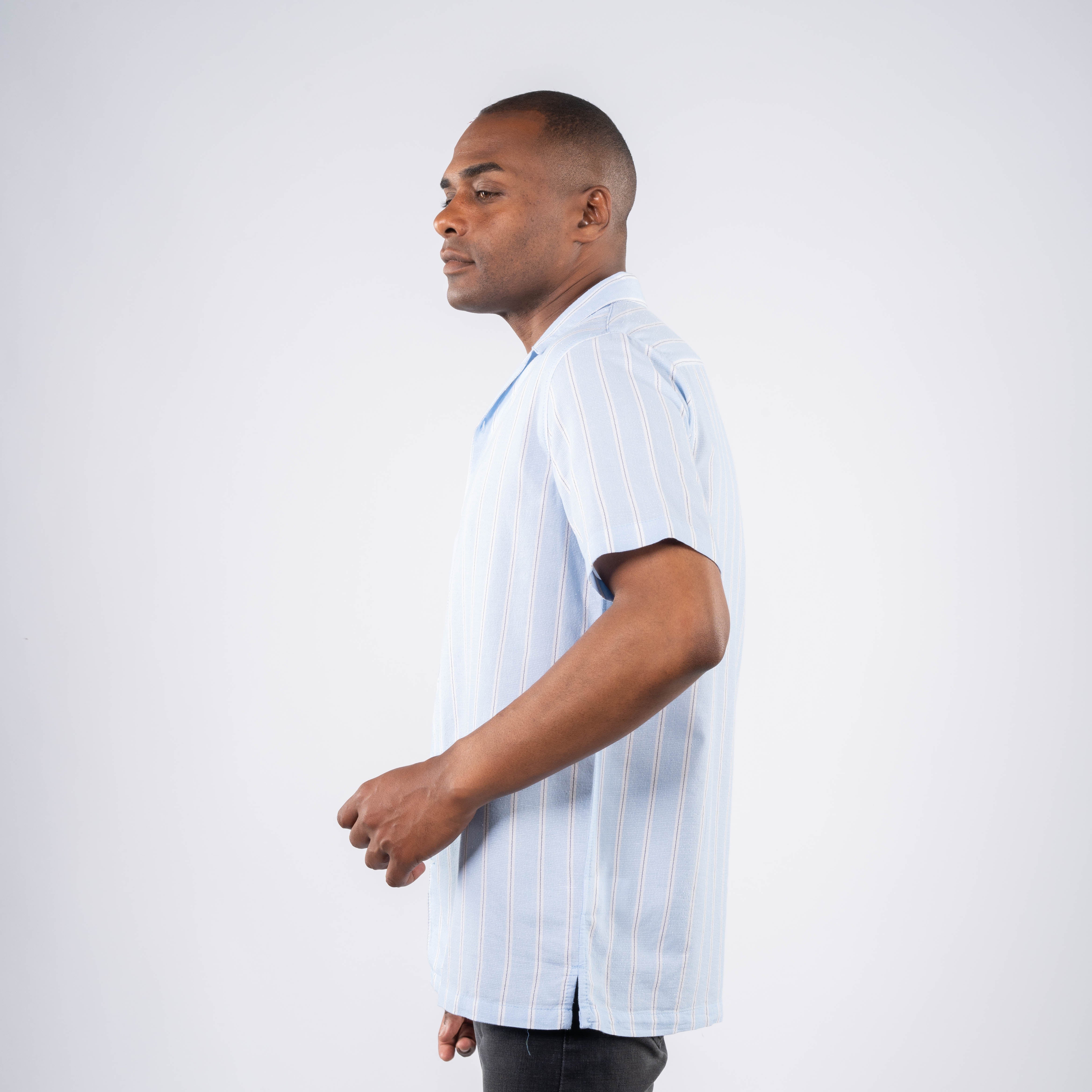 Half Sleeve Shirt - Men - Striped