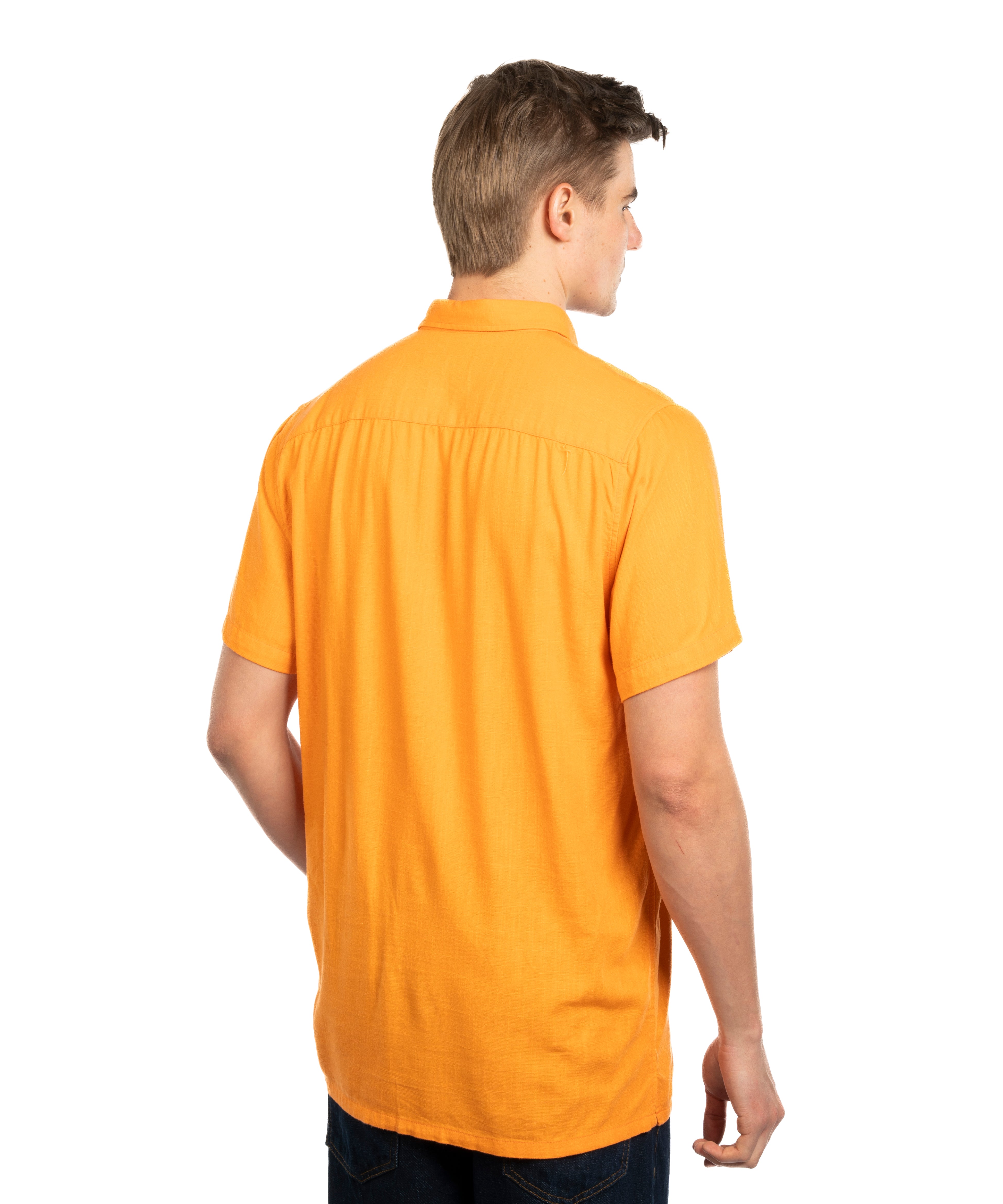 Half Sleeve Shirt - Men - Striped