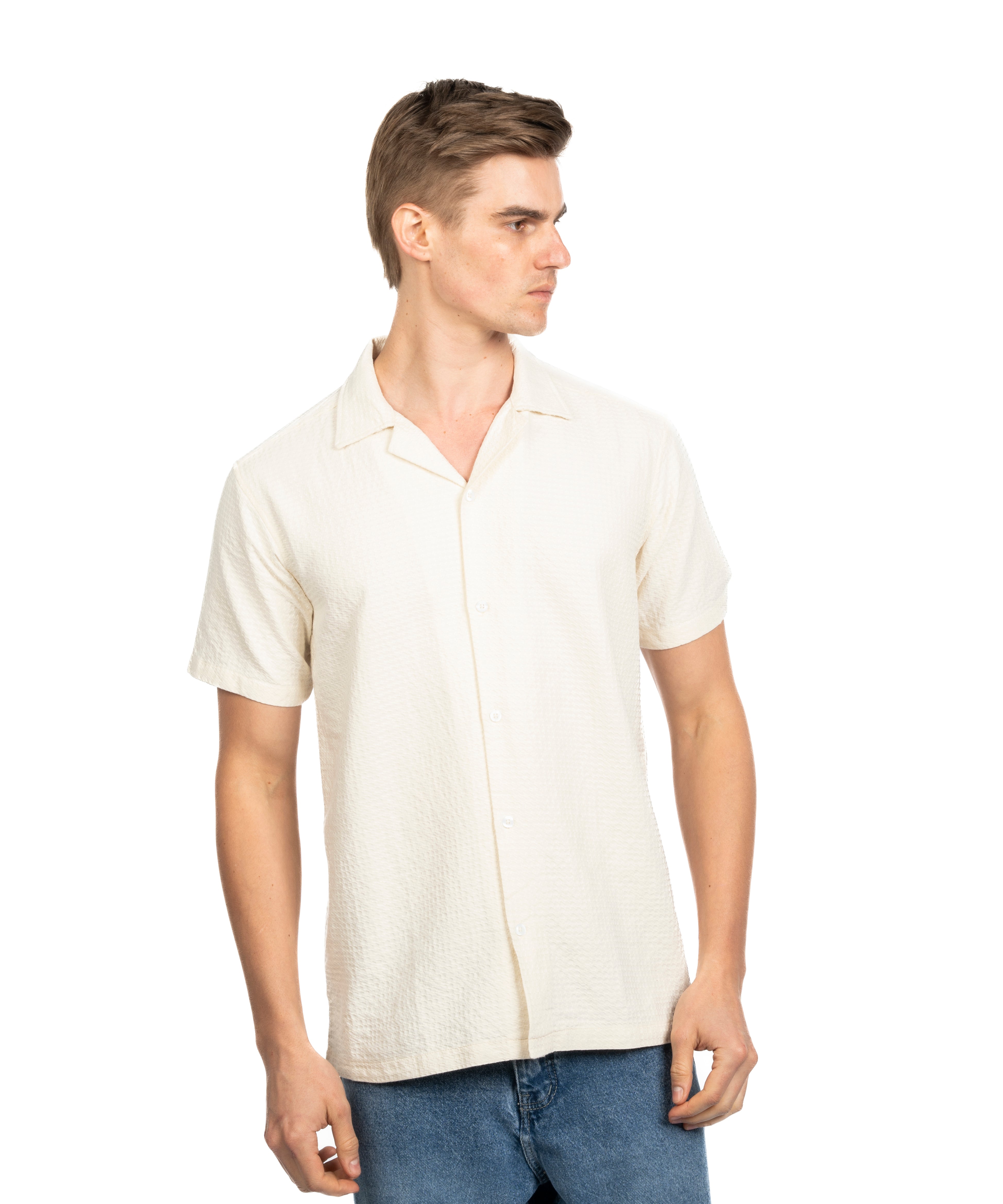 Half Sleeve Shirt - Men - Striped