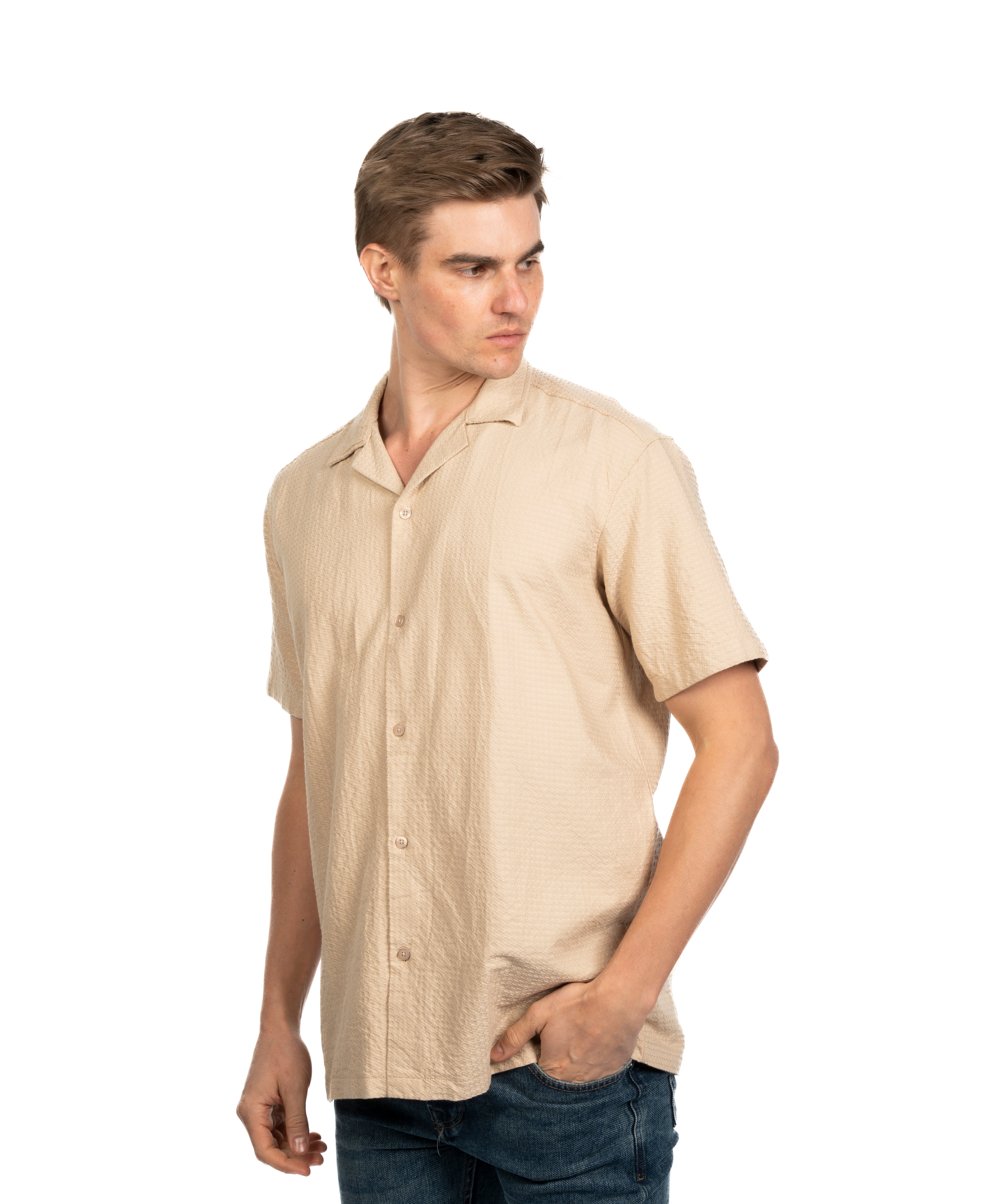 Half Sleeve Shirt - Men - Striped