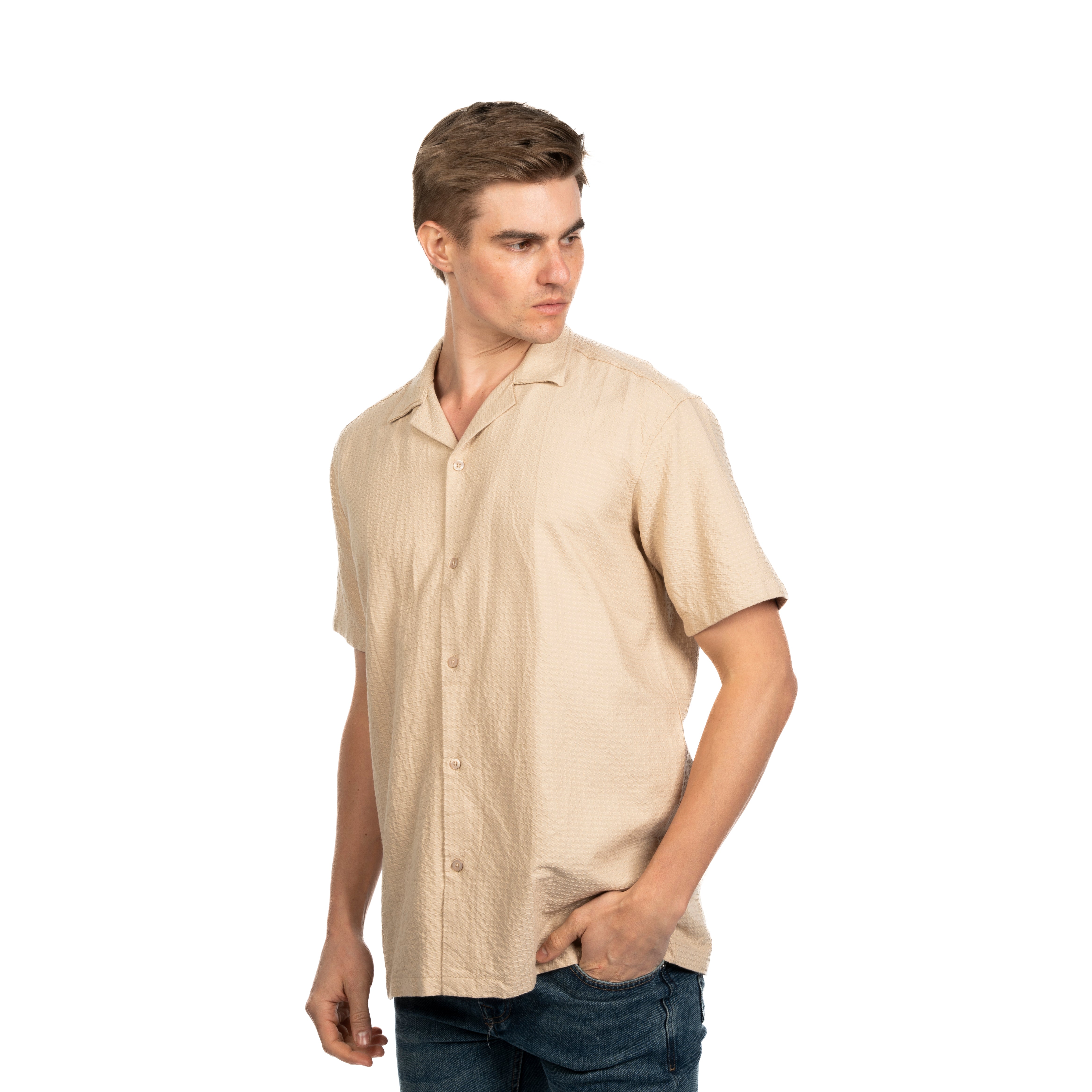 Half Sleeve Shirt - Men - Striped