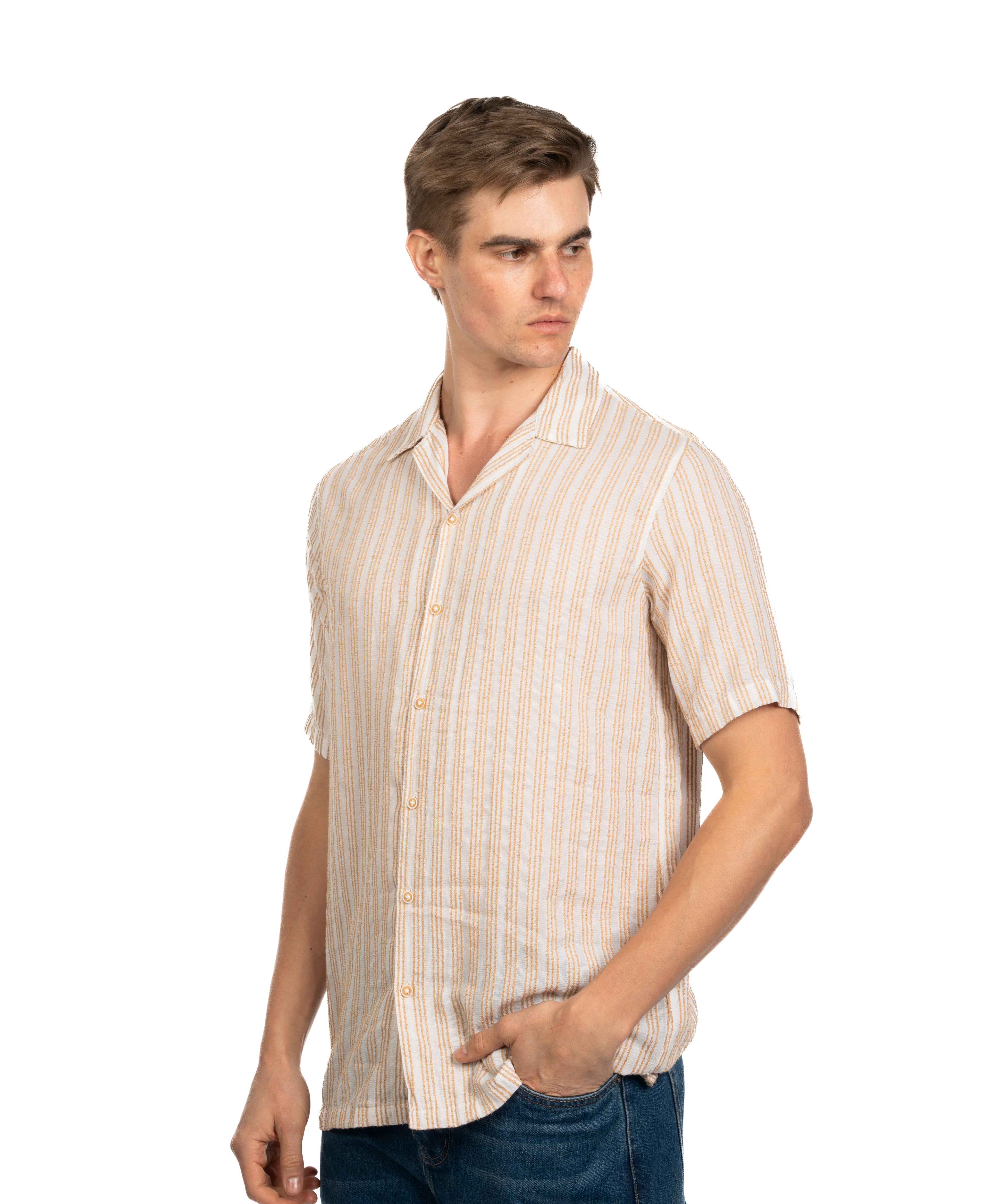 Half Sleeve Shirt - Men - Striped