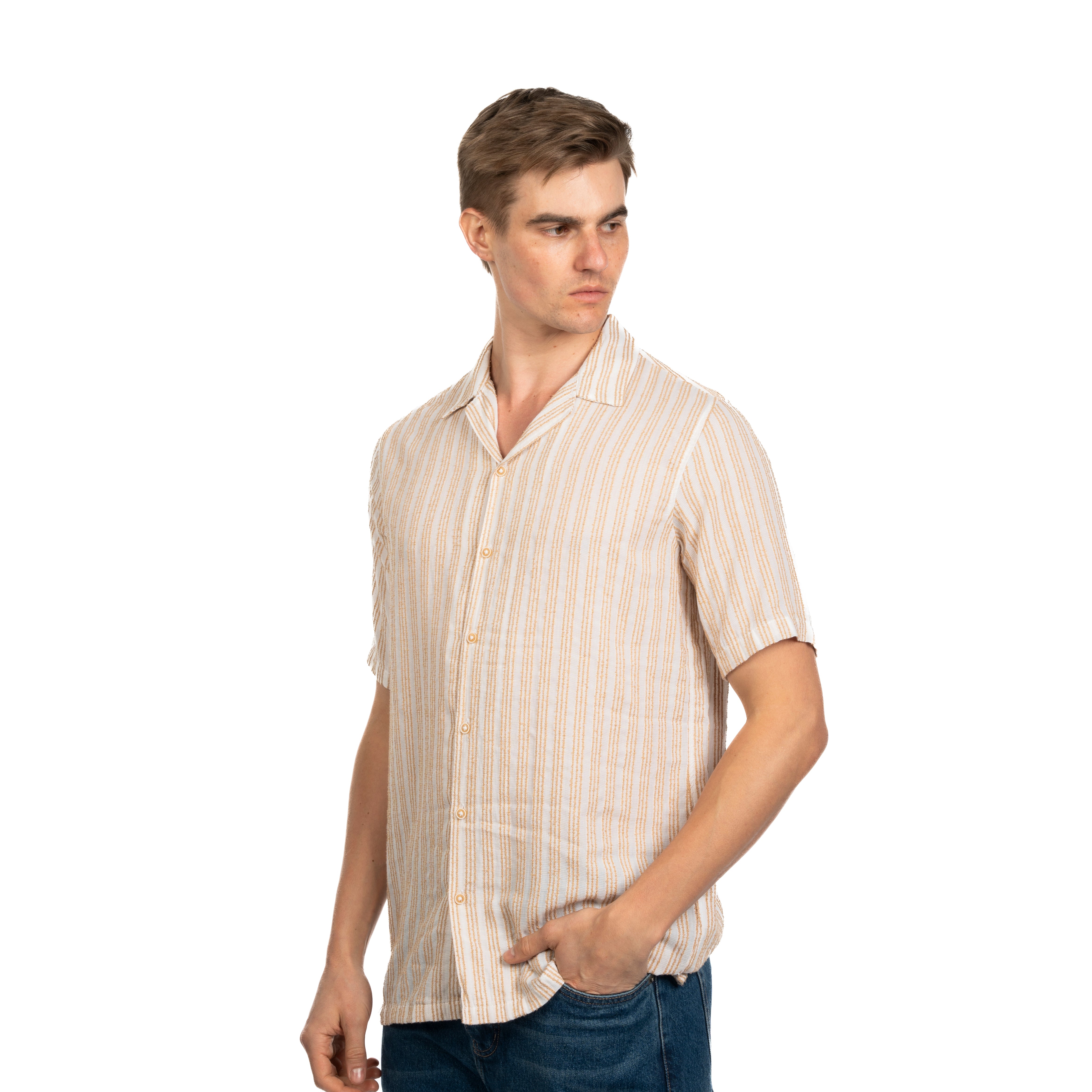 Half Sleeve Shirt - Men - Striped
