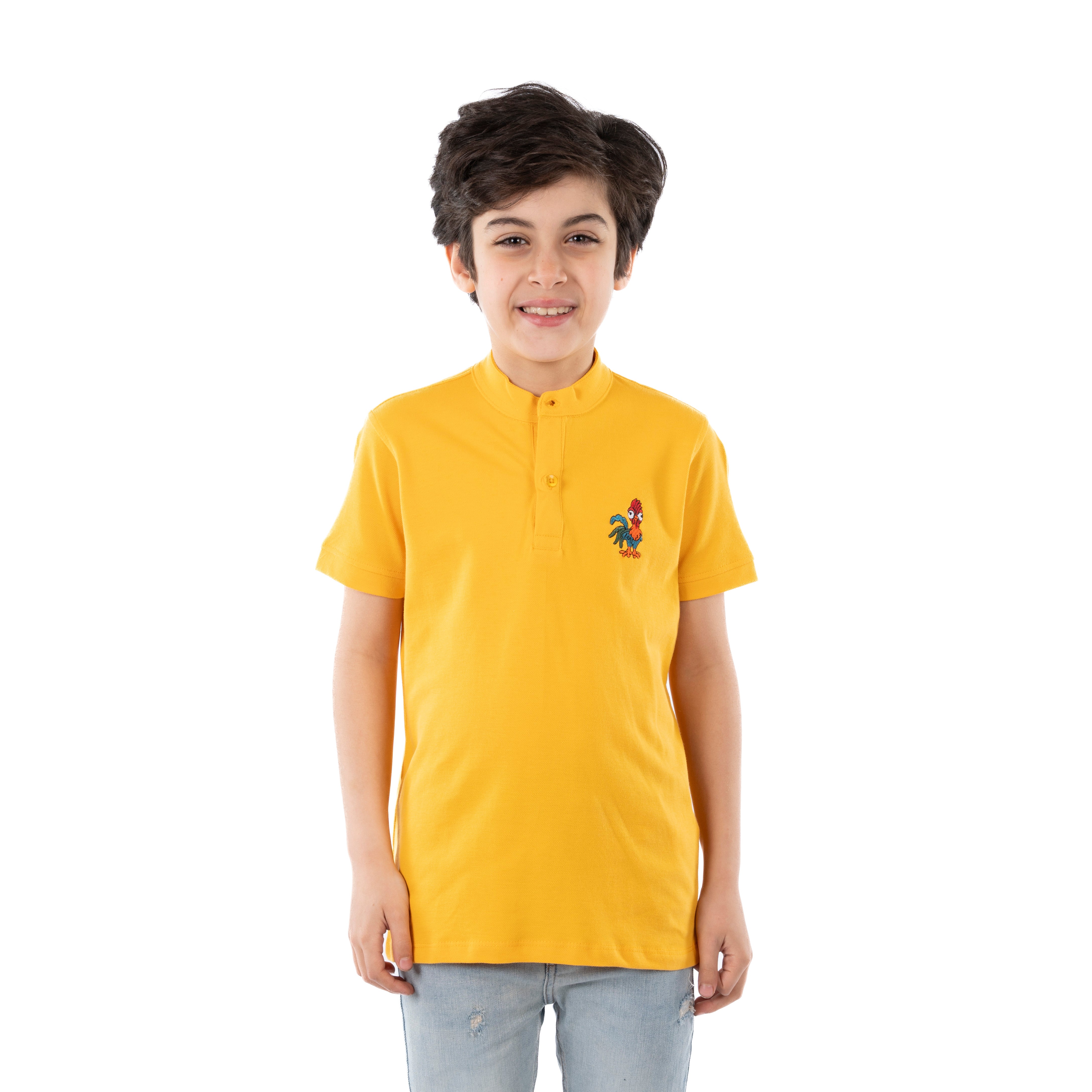 Polo T Shirt - Boys - Printed