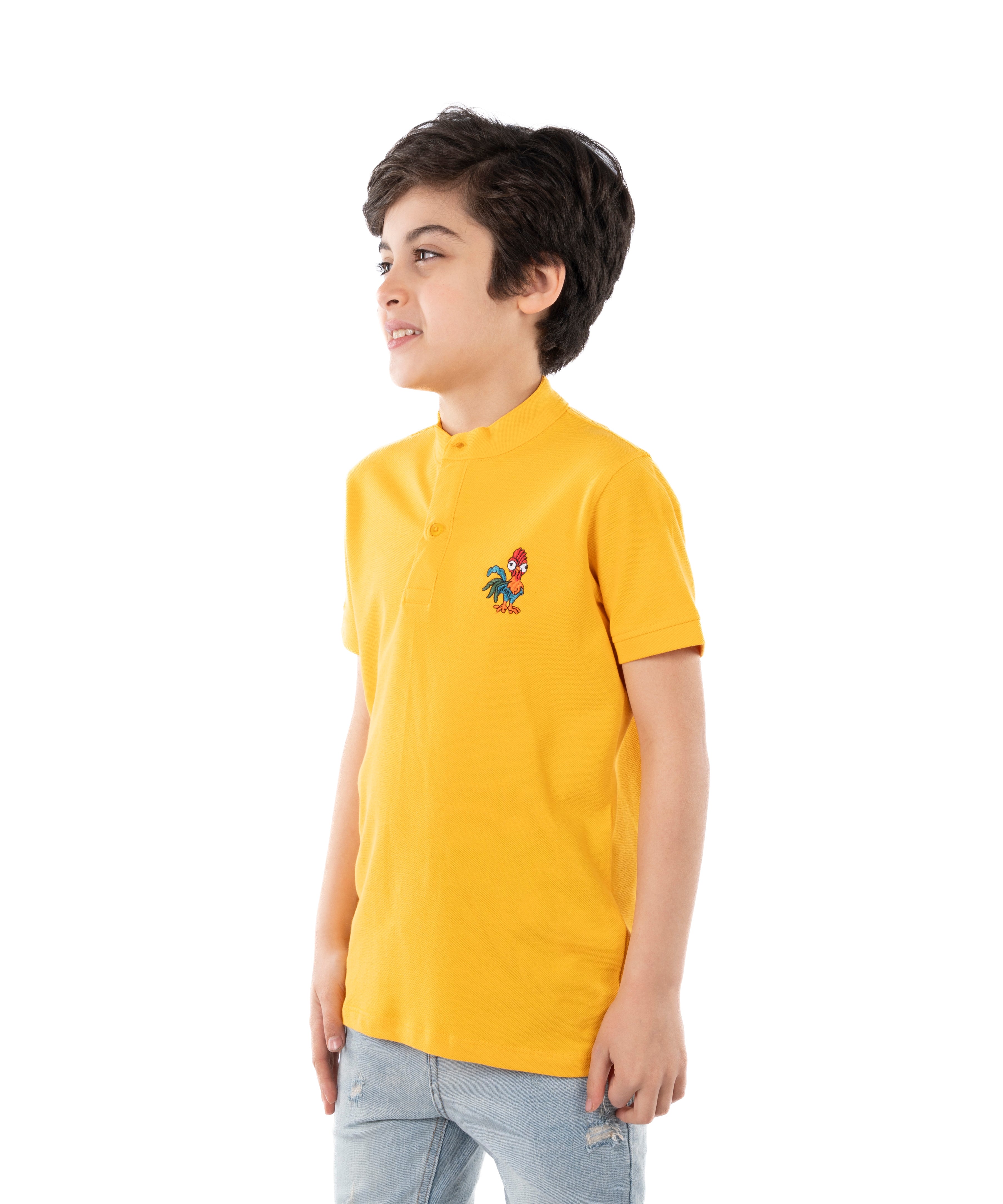 Polo T Shirt - Boys - Printed