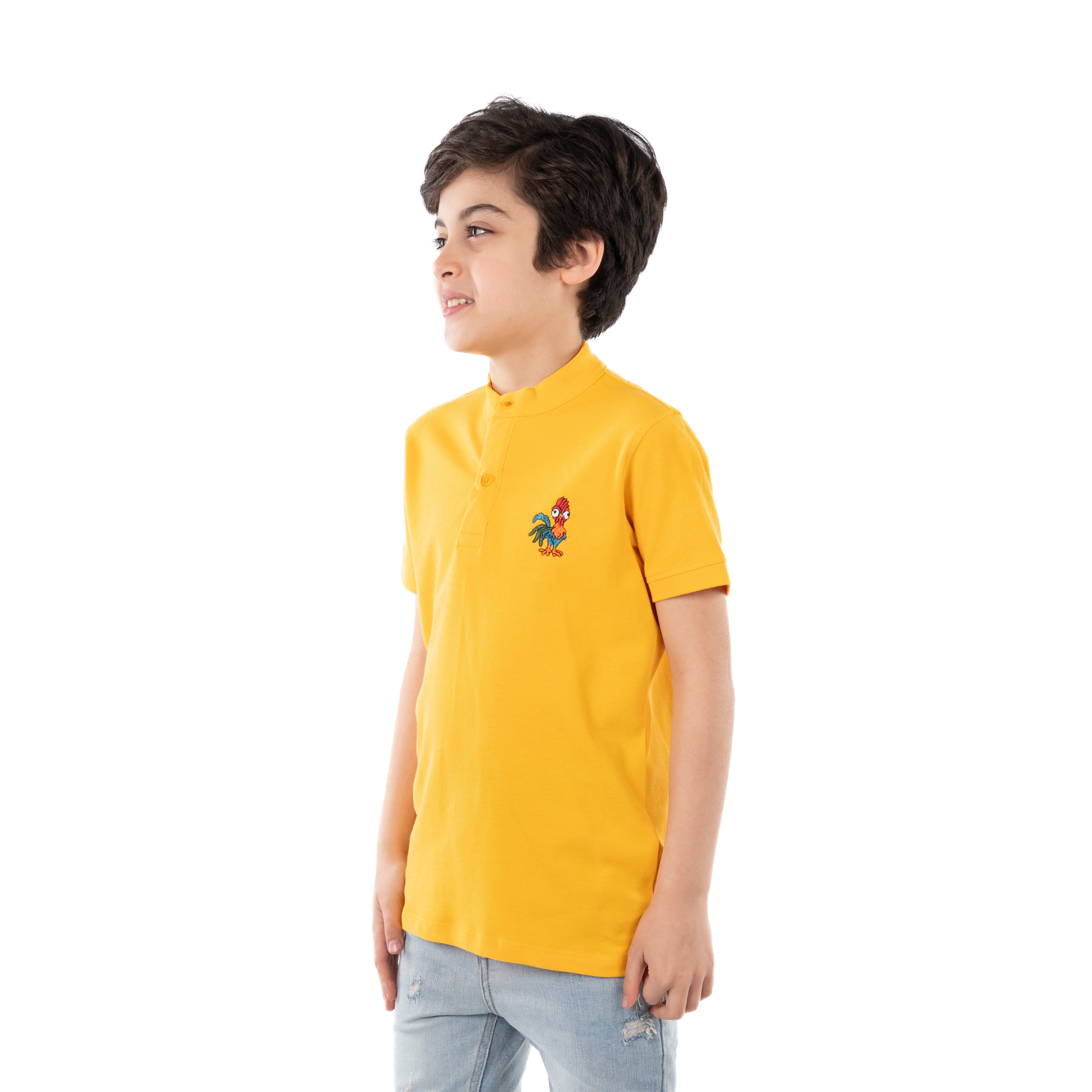 Polo T Shirt - Boys - Printed