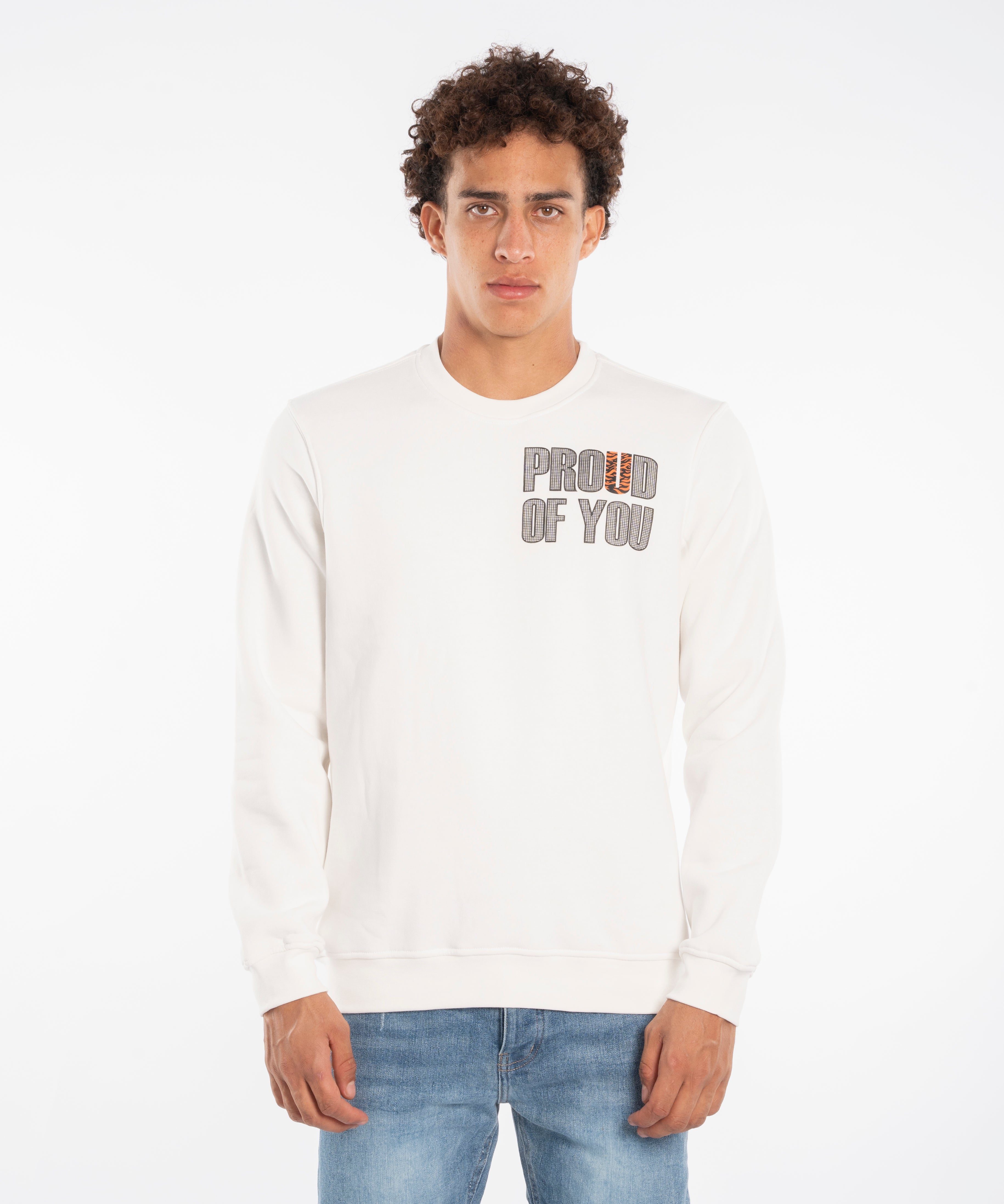 Sweatshirt - Men - Preinted