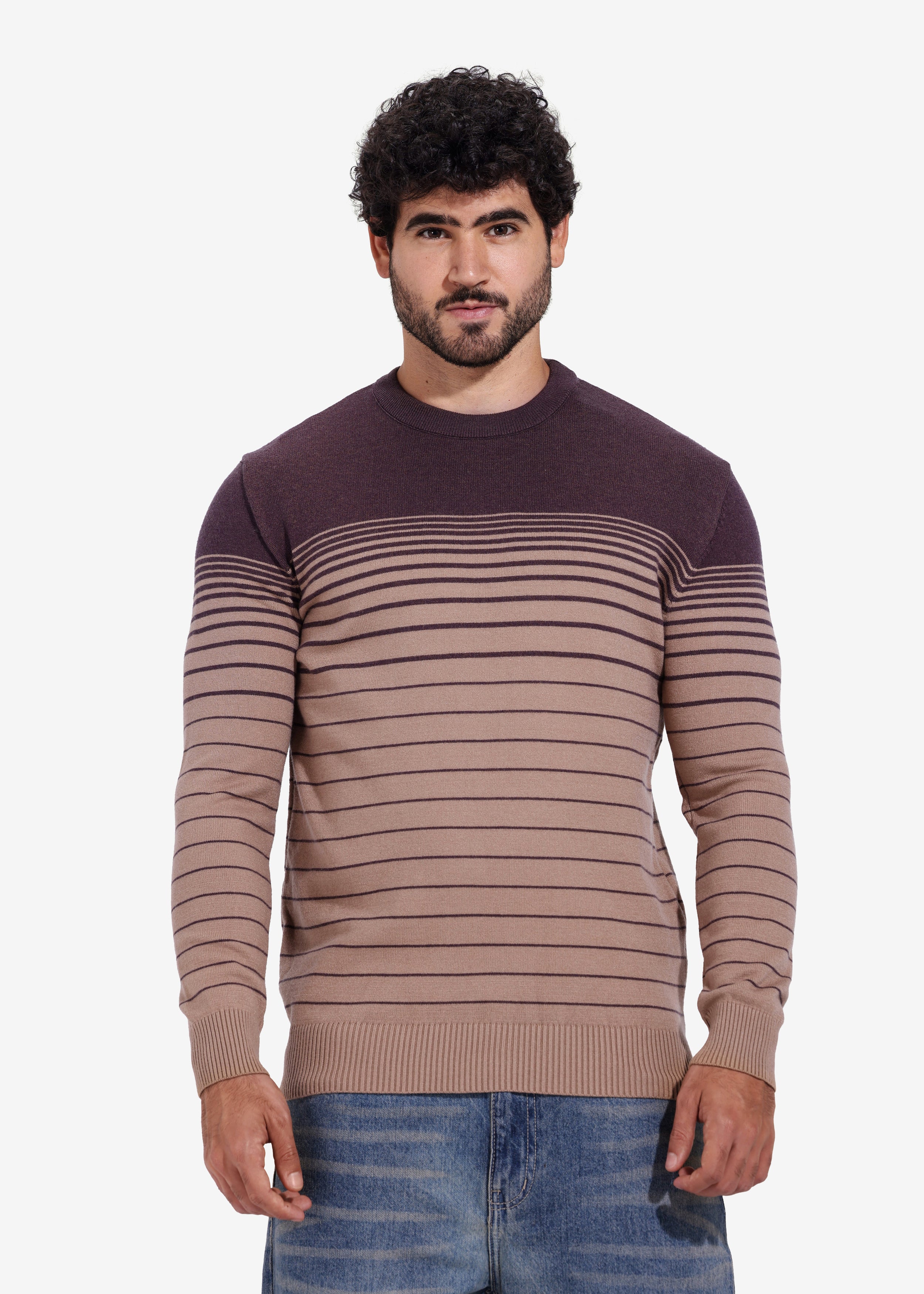 Pullover - Men - Striped