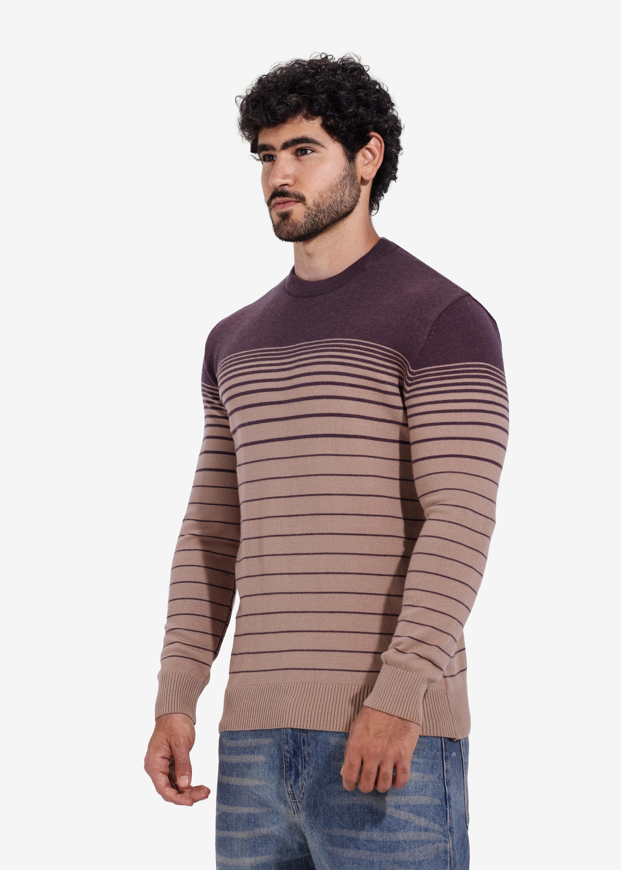 Pullover - Men - Striped