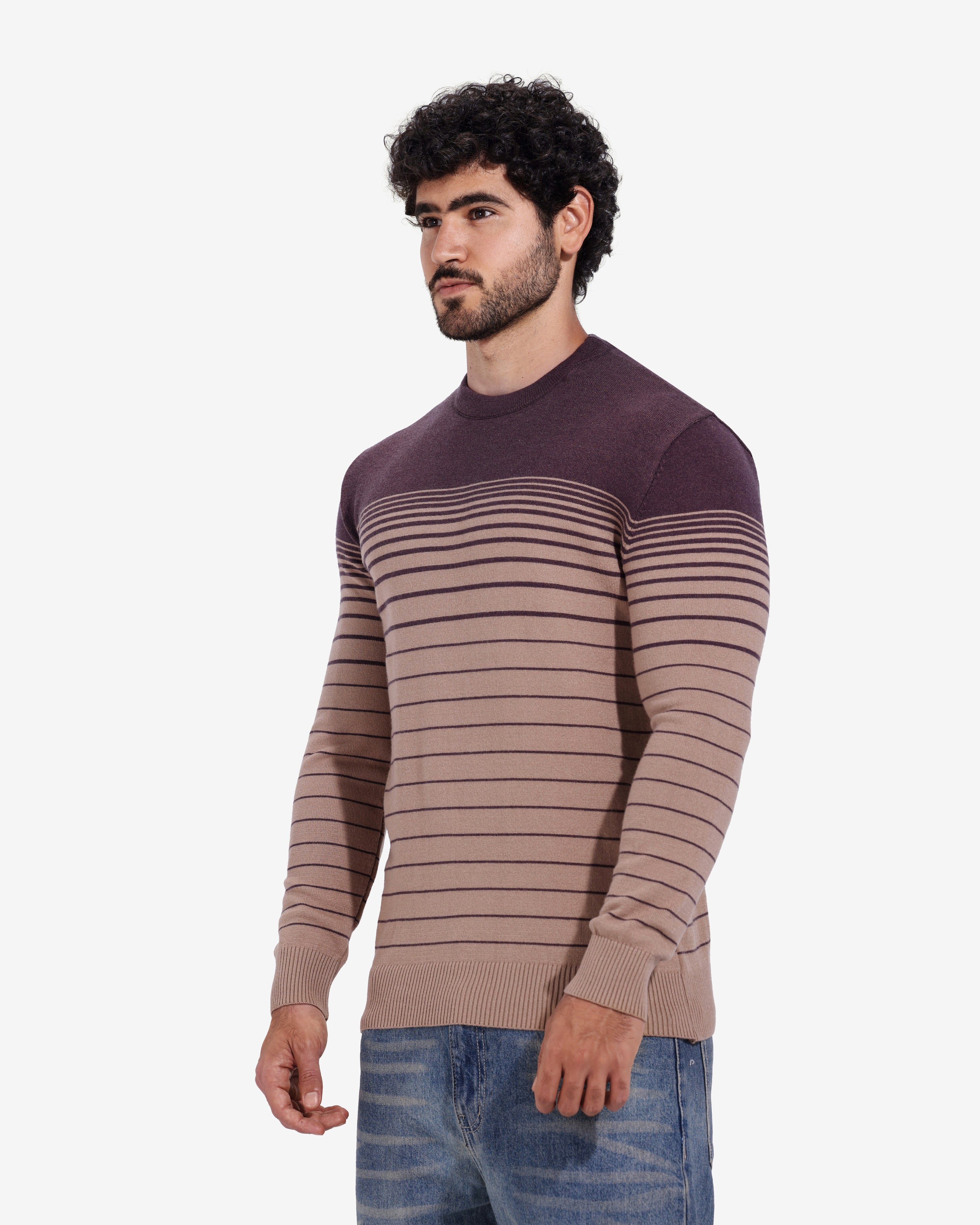 Pullover - Men - Striped