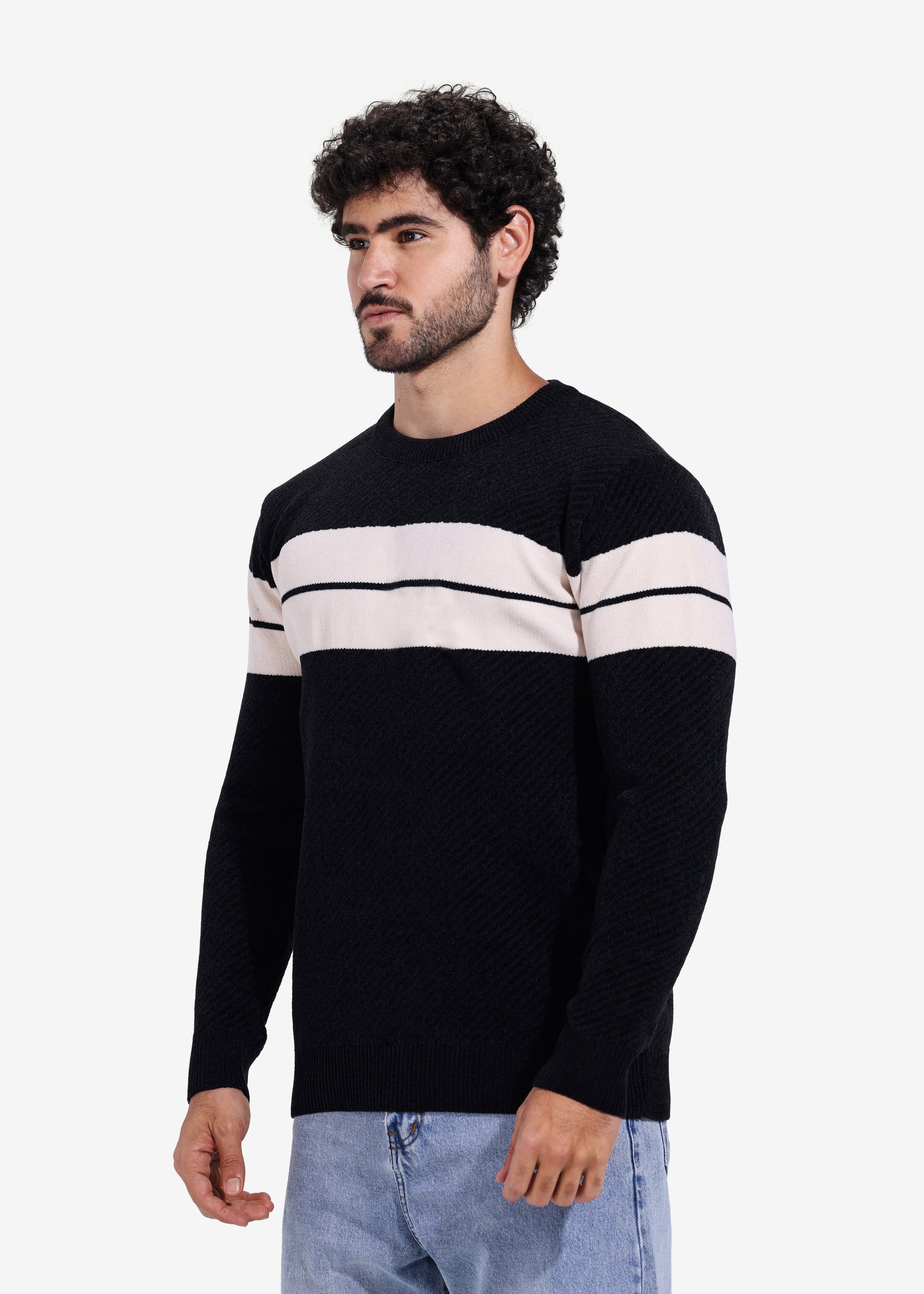 Pullover - Men - Striped