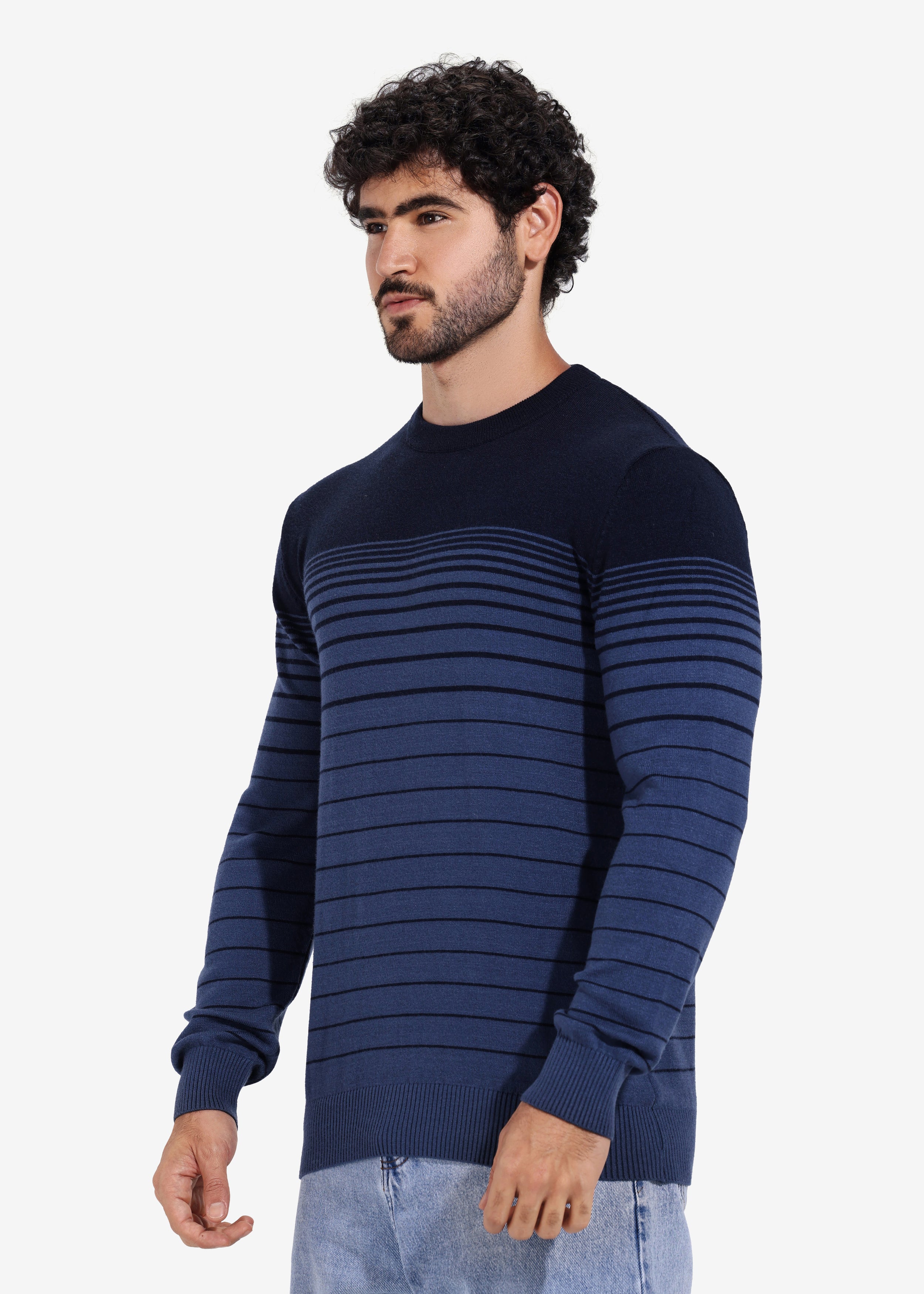 Pullover - Men - Striped